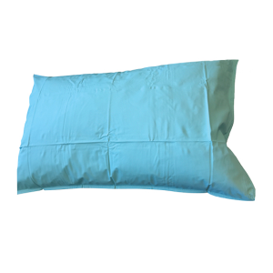 Livingstone Pillow with Blue Waterproof Cover