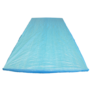 Livingstone Mattress Protector Draw Sheet or Bed Sheet, 210(L) x 90(W) x 20(H) cm Fitted Soft CPE Plastic Disposable Waterproof Blue Each